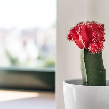 Apartment Guestready - Everflowing *